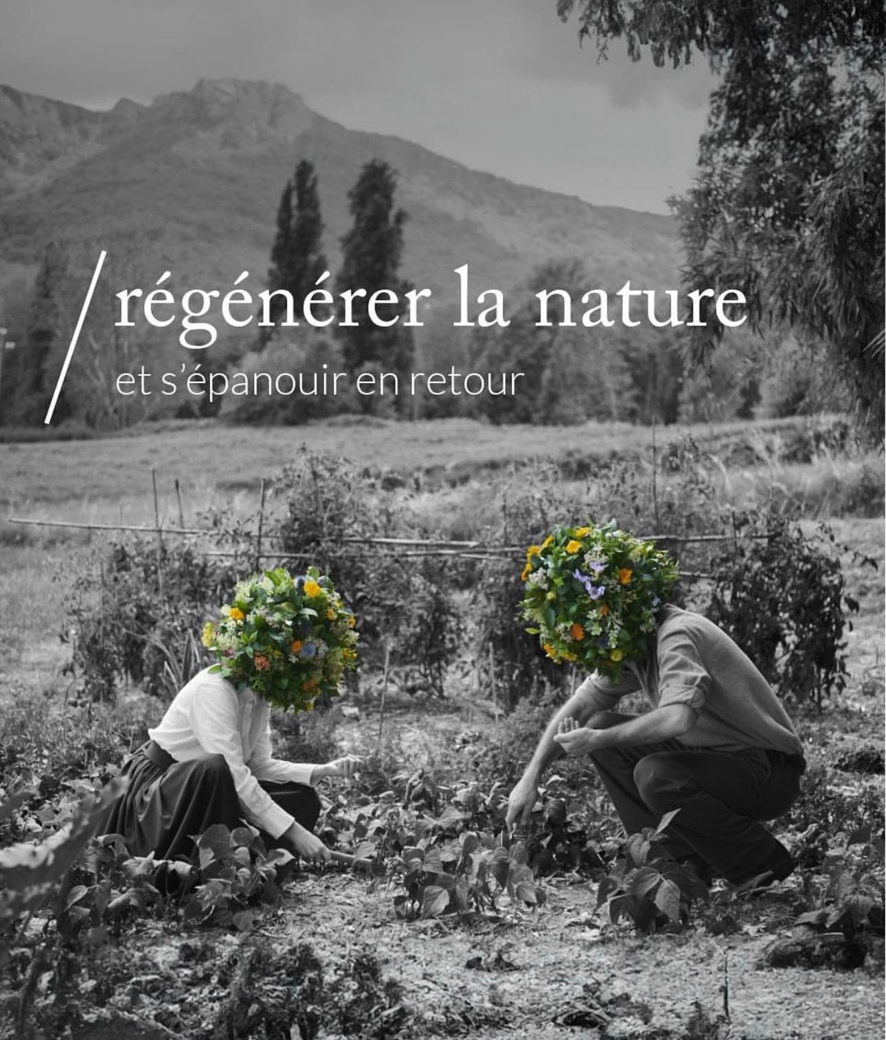 citation