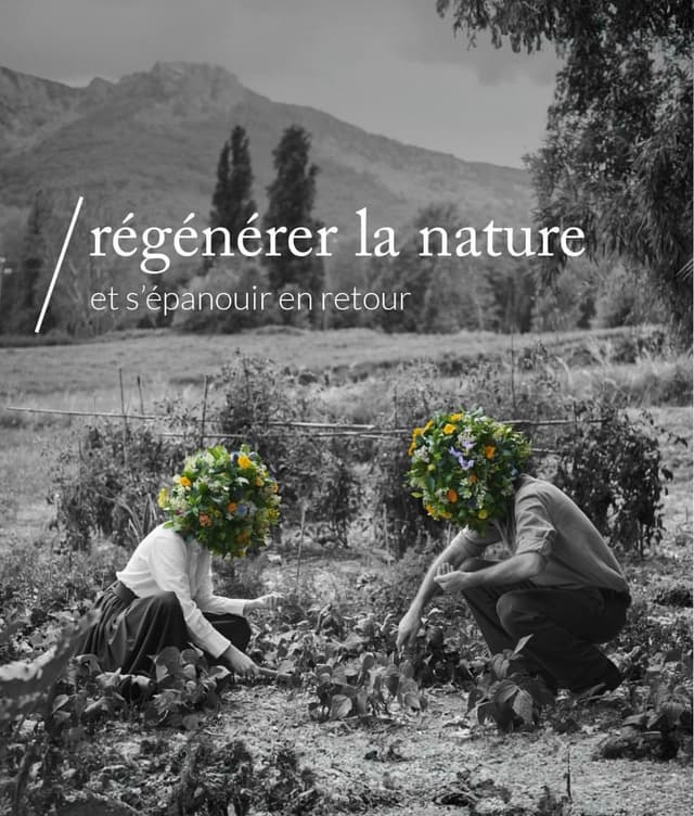 citation